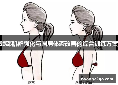 颈部肌群强化与圆肩体态改善的综合训练方案